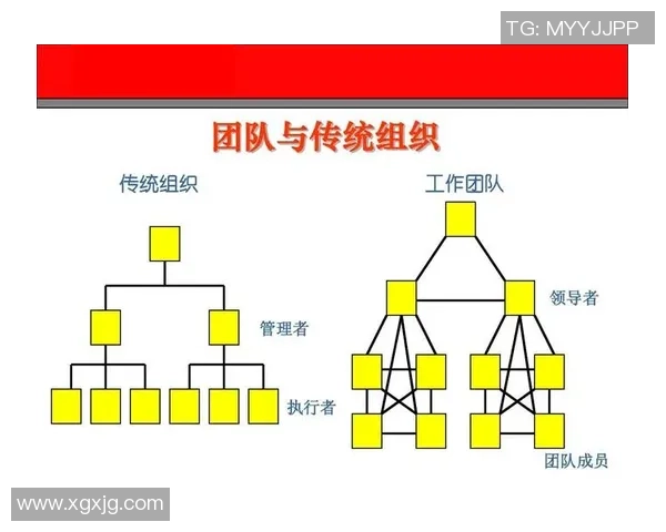 广州乒乓球队在挑战赛中的团队协作表现分析与点评